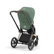 Poussette PRIAM Matt Black Leaf Green 2023 CYBEX - 8