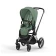 Poussette PRIAM Chrome Black Leaf Green 2023 CYBEX