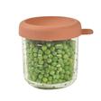 Petit pot en verre  250 ml Terracotta BEABA - 9