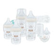 Coffret PP Perfect Match - 2 biberons 150mL + 2 biberons 260mL + 2 tétines 0-6M + 1 goupillon + 1 sucette 0-6M NUK - 2