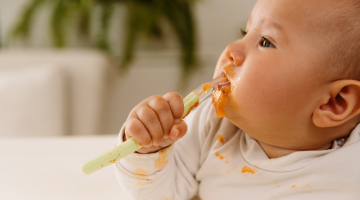 Bébé Repas Bon A Petit